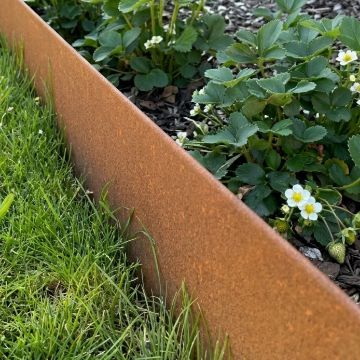 c3ee300138ad47a28ceaa16138fdda13